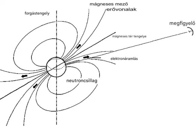 A neutroncsillag mágneses terének kialakulása.