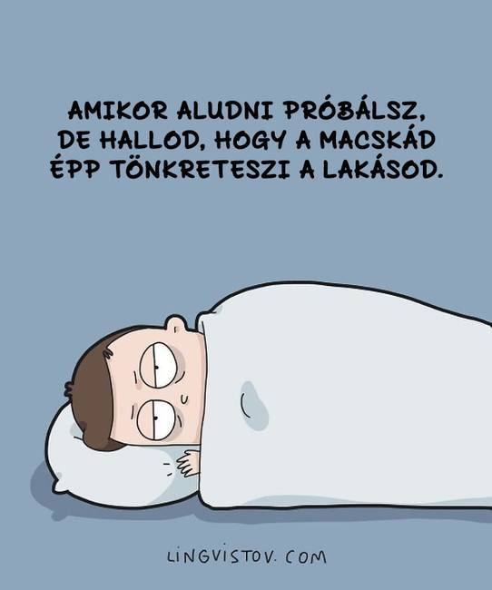 Egy művészduó képregényeket készít a macskagazdik legtipikusabb pillanatairól