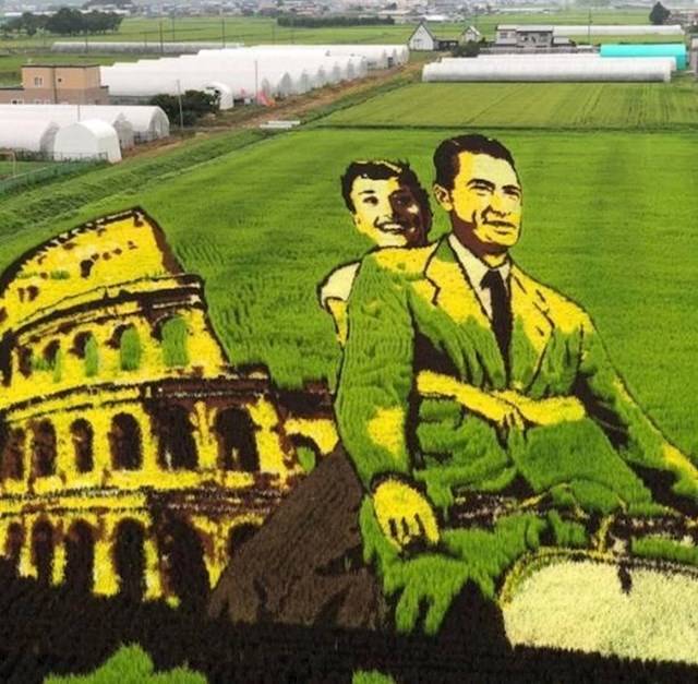 A különböző típusú rizsfélék jól megtervezett ültetésével a japánok különféle műalkotásokat hoznak létre a rizsföldeken.