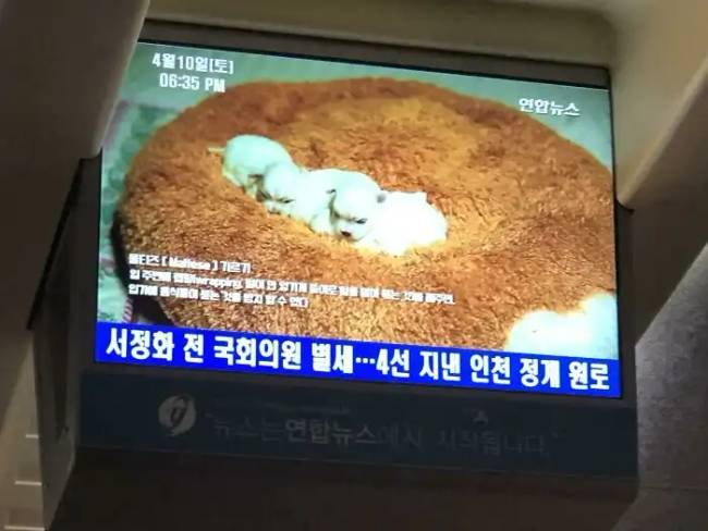 Dél korea fotók 019