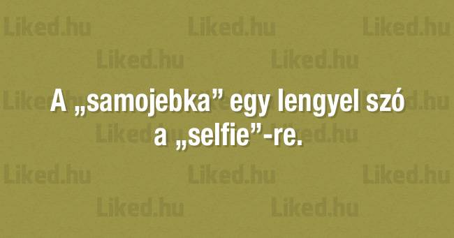21 furcsa és szokatlan tény a világunkról, amitől garantáltan le fog esni az állad