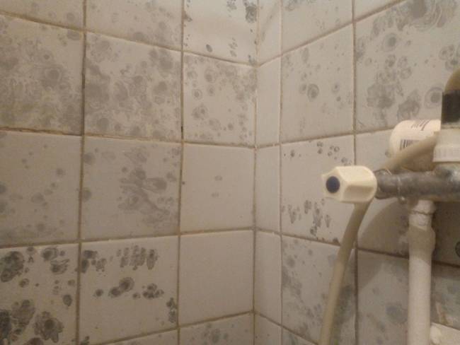 Egy hotelszoba zuhanyzója, ahol a csempe mintája olyan, mintha penészes lenne a fal.
