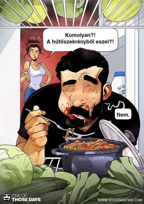 Egy izraeli házaspár képregényeket készít a családi életükről és ezekből mindannyian okulhatunk