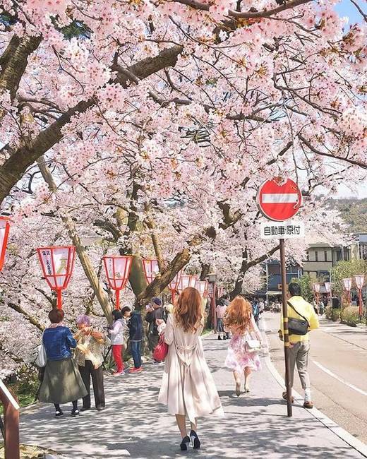Végezetül: a japán Lego cseresznyefánál már csak a valódi japán természet az, ami lenyűgözőbb.