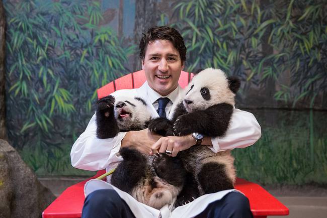 Kanada miniszterelnöke, Justin Trudeau olyan fiatalos és laza, hogy bármikor leülnénk vele meginni egy sört. Valószínűleg ő a világ egyik legbarátságosabb miniszterelnöke.
