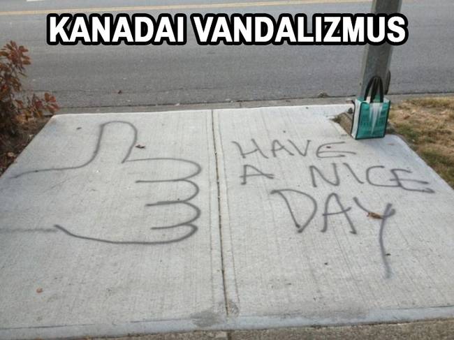 A kanadai lakosok olyan rendkívül udvariasak, hogy számos vicces mémet is találhatunk ezzel kapcsolatban, melyet természetesen főként a déli szomszédaik vagyis az Amcsik készítenek róluk előszeretettel.