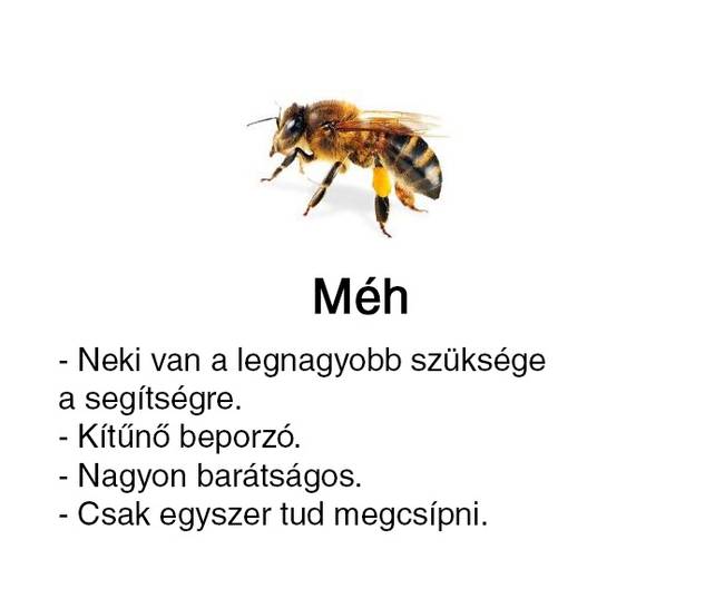 Valaki útmutatót készített a 'sárga csíkos izékhez', és ezt alighanem neked is látnod kell