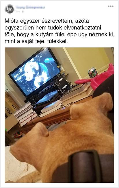 Zavarba ejtő...😂