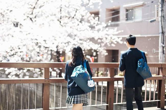 A japán iskolákban a tanterv részét képezi a természet adta kincsek csodálása.
