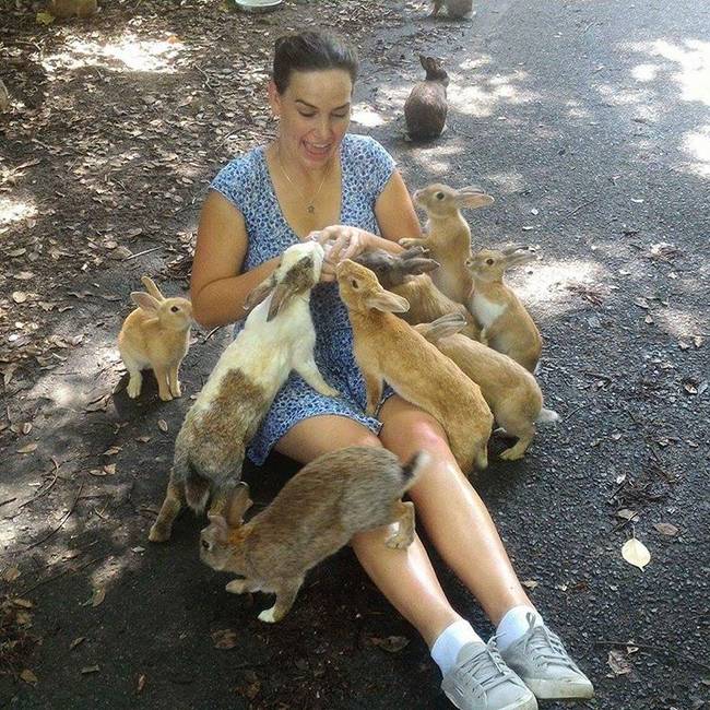 Végezetül pedig Ōkunoshima, a rejtett nyuszi-sziget, amit mára teljesen elárasztottak a nyulak.
