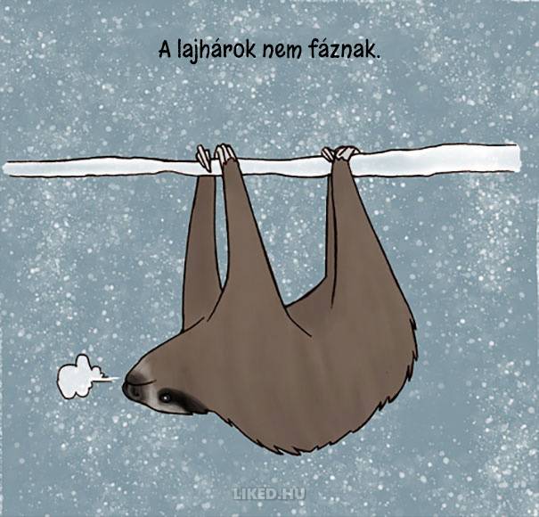 20 őrült tény az állatokról, amit nem tanítottak meg nekünk az iskolában