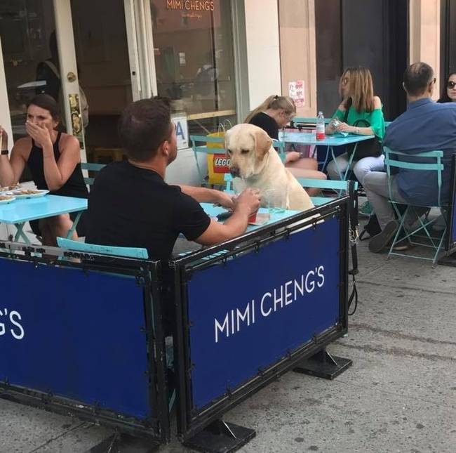 Csak azért, mert a haverod lemondja a közös ebédet, még nem jelenti azt, hogy egyedül kell menned az étterembe.