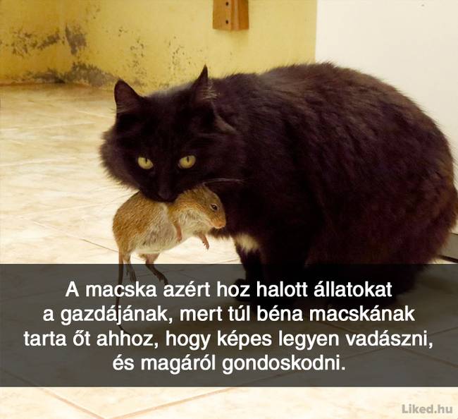 20+ örömteli tény, ami után teljesen más szemmel nézel majd a világra