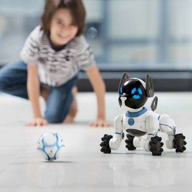 Sehol máshol a világon nem tartanak annyi robot-háziállatot, mint Japánban.