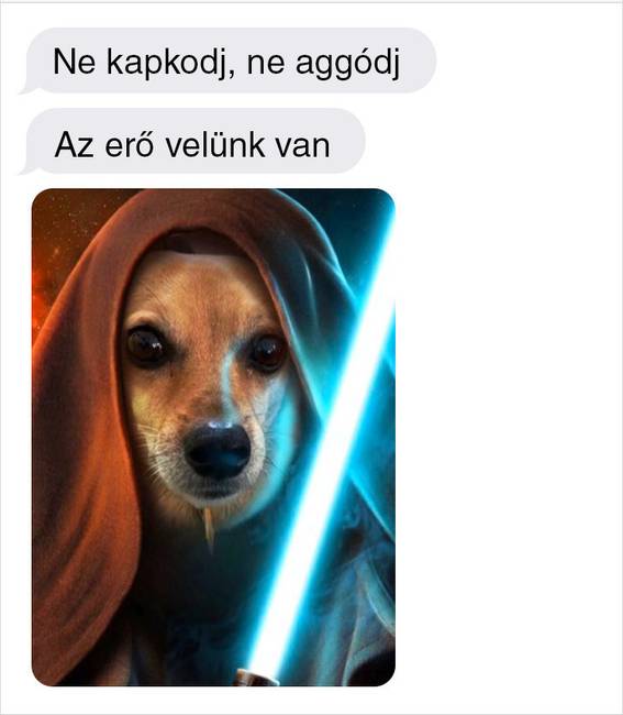 „Az édesanyám megtanulta, hogyan lehet képszerkesztő programokat használni, és a világ többé már nem lesz ugyanolyan."