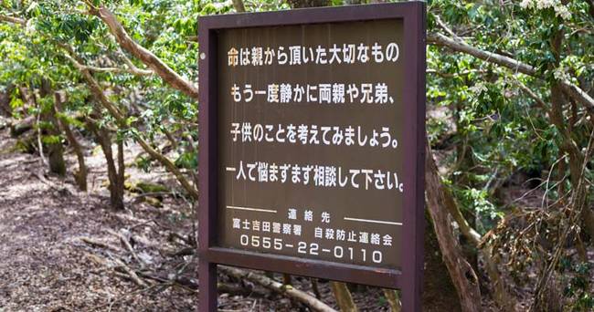 Öngyilkos erdő, Japán