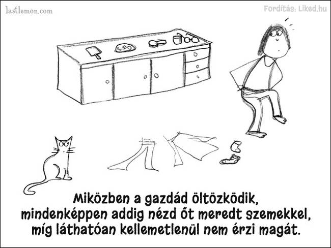 20 humoros illusztráció, ami megmutatja, hogyan kell jó macskának lenni