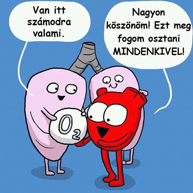 Emberbiológia - summázva.