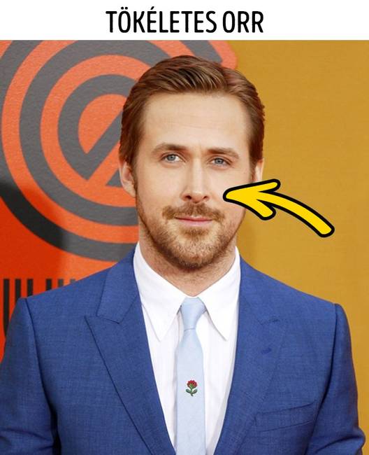 Ryan Gosling (87.48%)