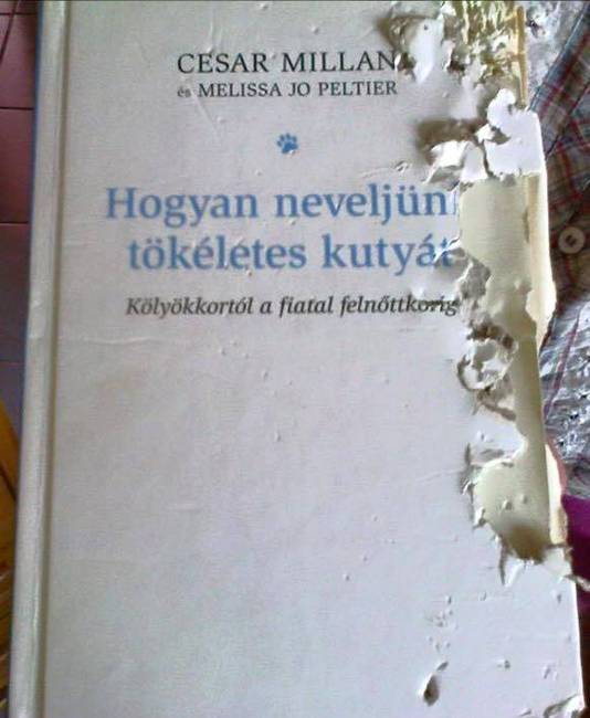 Ez a könyv szemmel láthatóan kudarcot vallott.