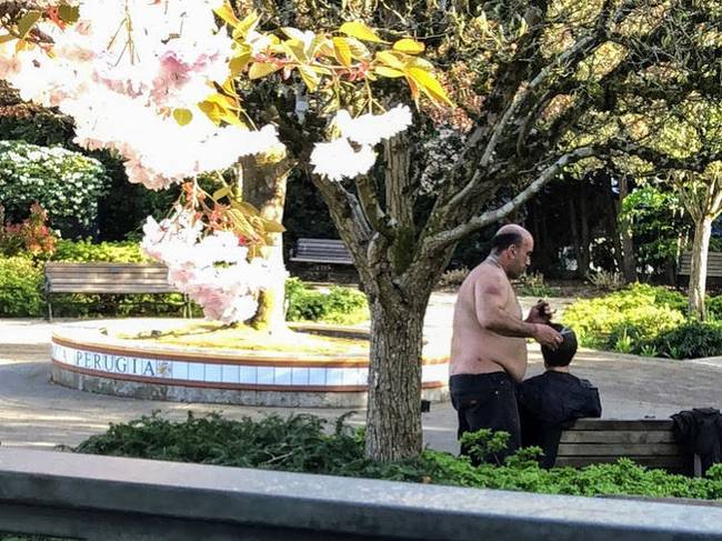 Csak egy fickó, aki a park közepén vágja a barátja haját.