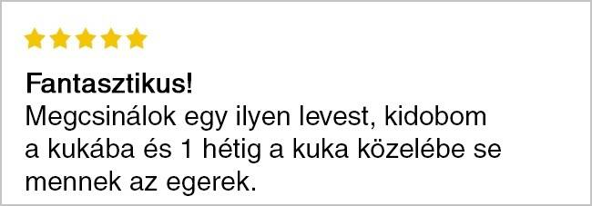 Kínai gyorsleves.