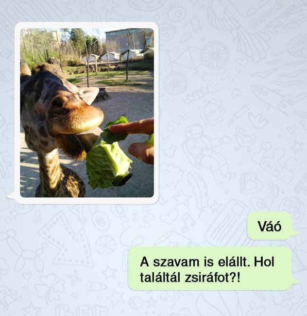 „Kettőt találhatsz, apa...”