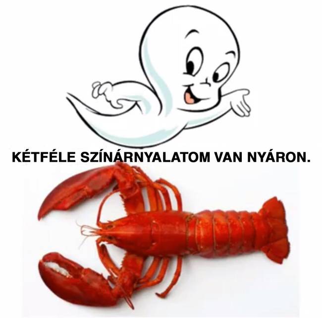Nincs átmenet.
