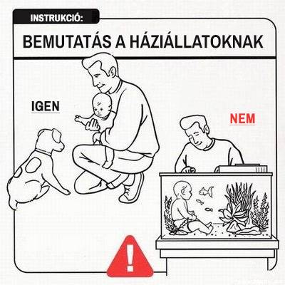 20 szemléletes használati utasítás gyerekekhez, kizárólag (nagyon) kezdő szülőknek
