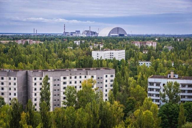 Miért nem pusztultak el a növények a csernobili atomerőmű-baleset helyszíne körül?