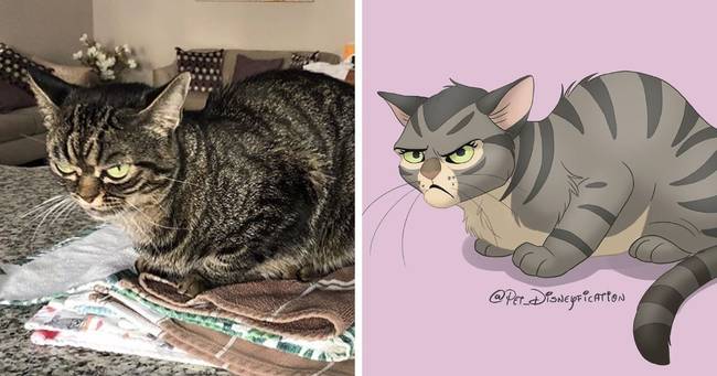Angry Kitzia - tökéletes Disney-gonosz lenne belőle