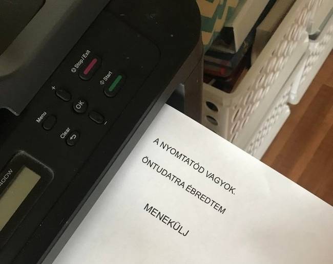 „A 12 éves fiam humorérzéke."