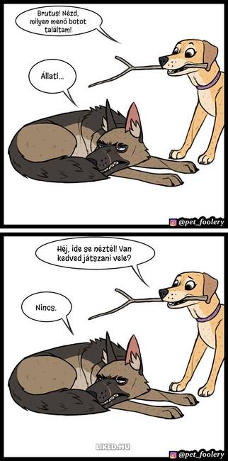 8 új ‘Pixie és Brutus’ képregény, ami segít bearanyozni a napod