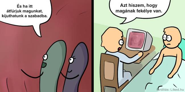 A baktériumok képesek módosítani a gazda szervezet bélrendszerének génjeit.