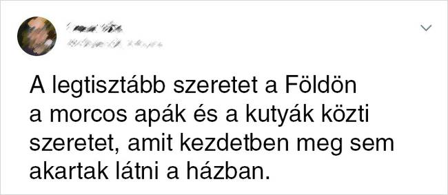 Ezzel nem lehet vitatkozni.