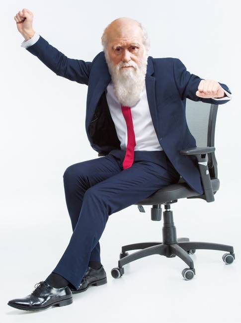 Charles Darwin volt az első ismert ember, aki úgy döntött, hogy görgőket szerel a széke lábára, hogy könnyebben mozoghasson az irodájában.