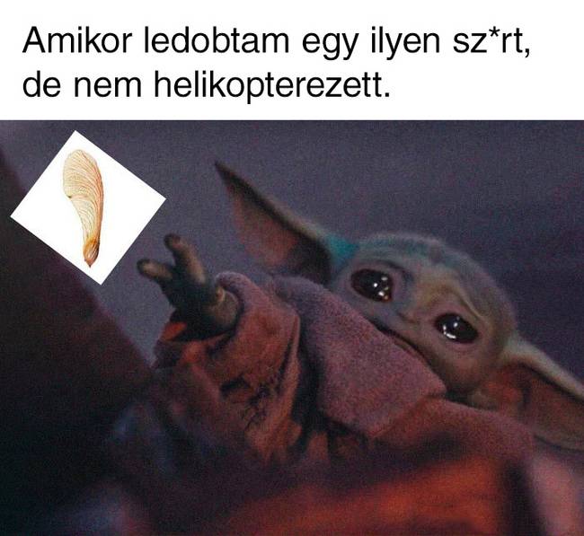 20 dolog, amit mindannyian csináltunk gyerekkorunkban, de nem beszéltünk róla senkinek