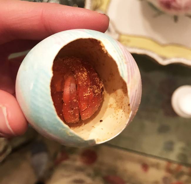 „Anyám véletlenül leejtett és összetört egy húsvéti tojást, ami 20 évet pihent a szekrényben. Kiderült, hogy a fehérje teljesen felszívódott, a sárgája pedig megkövült.”