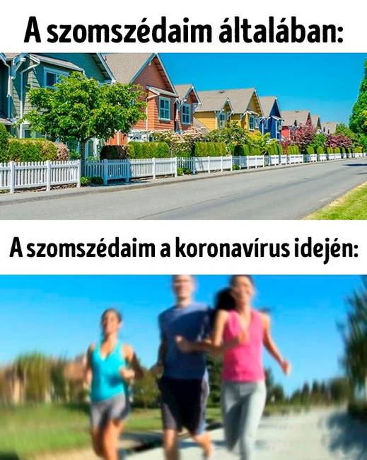 Eddig valahogy senkinek nem jutott eszébe soha futni vagy kirándulni, de most...🙄