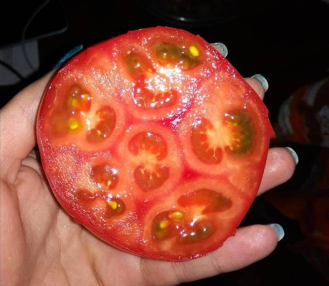 Egy paradicsom, aminek a belsejében látszólag sok kis paradicsom található.