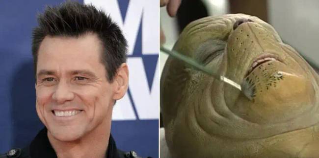 Jim Carrey a felvétel szünetében, a vastag jelmez fogságában.