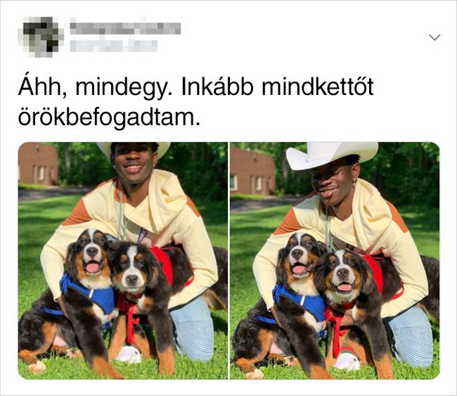 Helyes döntésnek tűnik.
