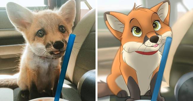 Foxy, a bébiróka