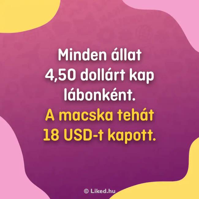 Macskateszt válasz