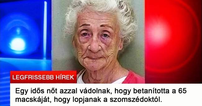 Ki látja így magát 40 év múlva?!😂