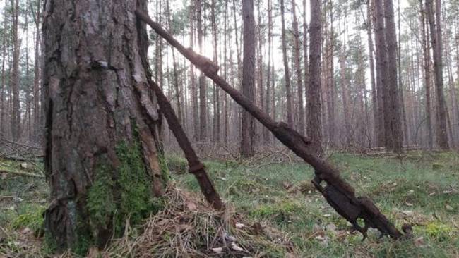 A II. világháború emlékei továbbra is megtalálhatók a német erdőkben.