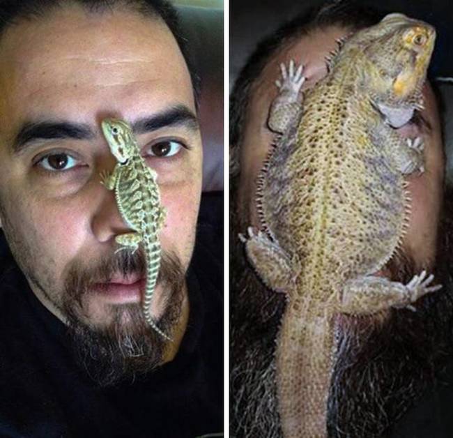 „Rex 5 év alatt sokat változott."