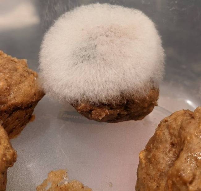 Láttál már valaha ilyen szép hajat egy muffinon?