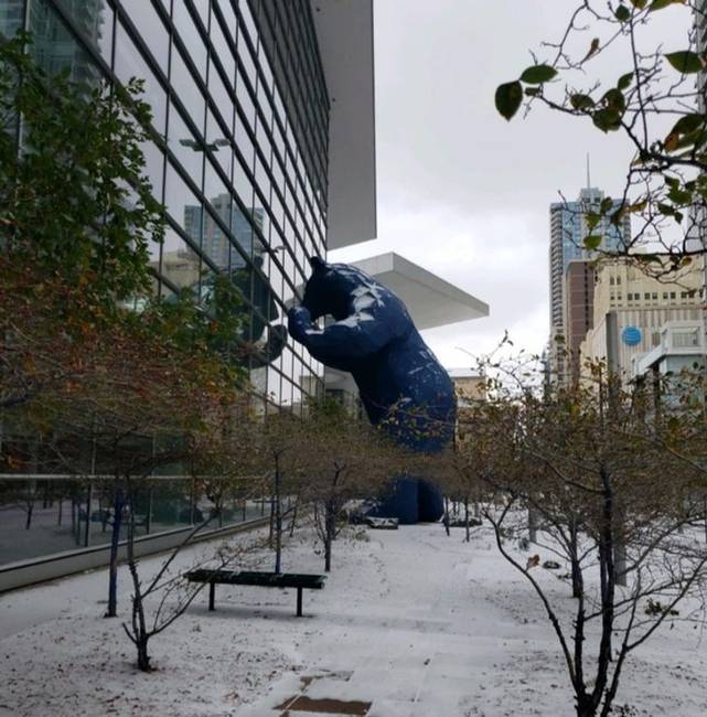 „Egy hatalmas medveszoborra bukkantam Denverben. Igen, épp az épület ablakán kukucskál befelé."