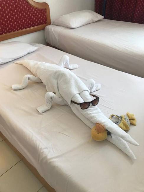 Ennek a szállodának a takarítószemélyzete minden nap más állattal lepi meg a vendégeket. Ez ma itt egy krokodil.